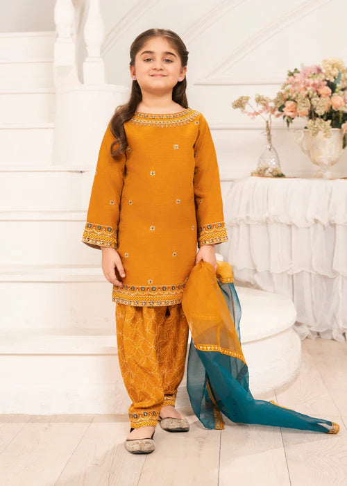 K2527-B - Zarqun Kids